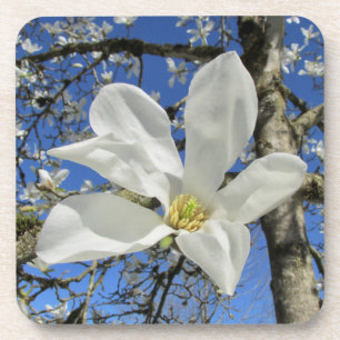 Porta-copo Flor da Magnolia Branca em Árvore.