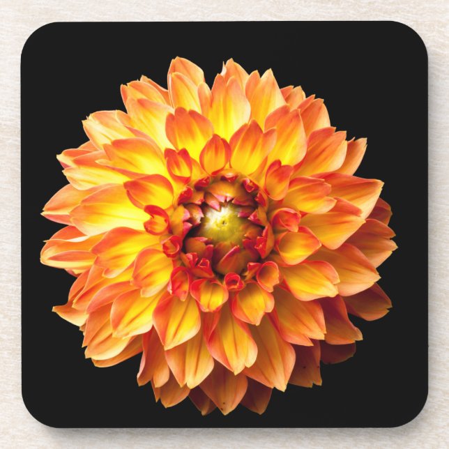 Porta-copo Flor Dahlia (Frente)