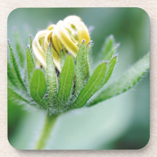 Porta-copo Flor De Abertura Da Flor Cone (Frente)