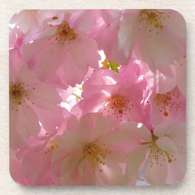 Porta-copo Flor de Cereja Japonês (Frente)