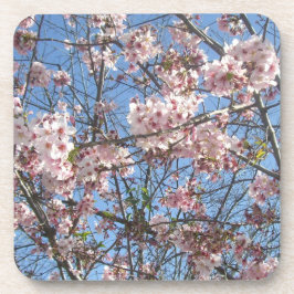 Porta-copo Flor de Cerejeira
