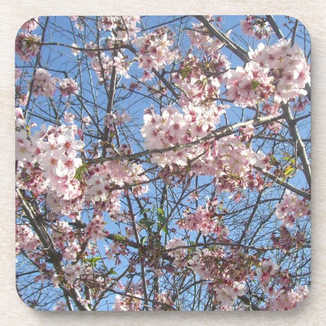 Porta-copo Flor de Cerejeira (Frente)