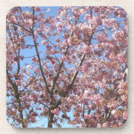 Porta-copo Flor de Cerejeira