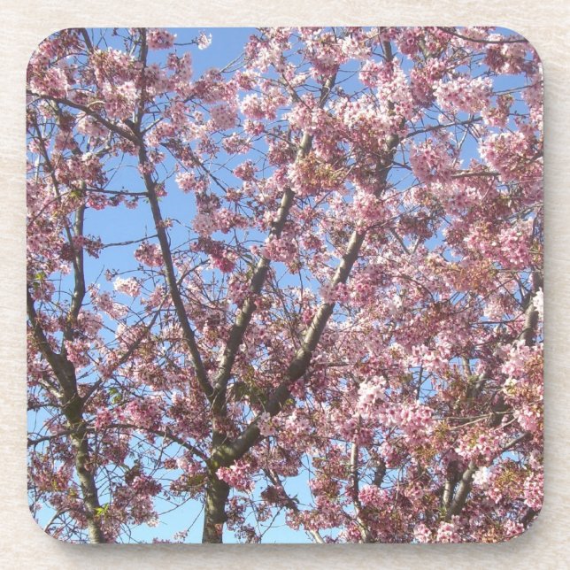Porta-copo Flor de Cerejeira (Frente)