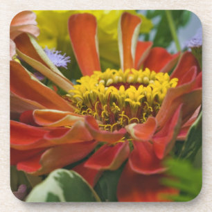 Porta-copo flor de crisântemo