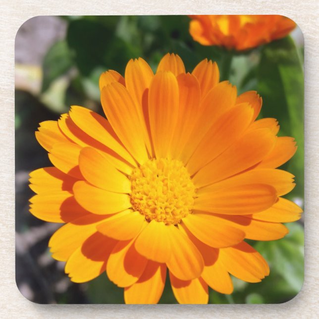 Porta-copo flor de marigão (Frente)