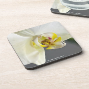 Porta-copo Flor de Orquídea Branca