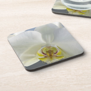 Porta-copo Flor de Orquídea Branca