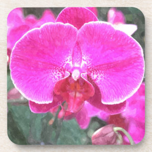 Porta-copo Flor de orquídea rosa, fotografia floral