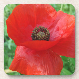 Porta-copo Flor de Poppy Vermelho
