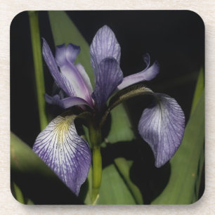 Porta-copo Flor de Sinalizador Azul Iris