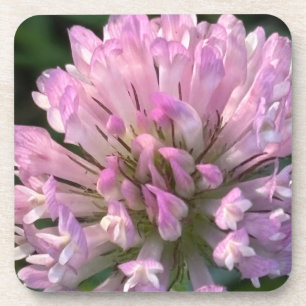 Porta-copo Flor de trevo bonita