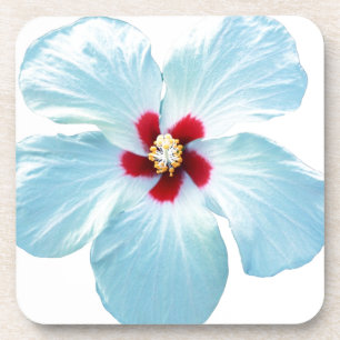 Porta-copo Flor havaiana do hibiscus