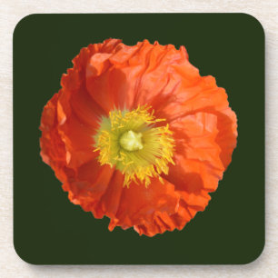Porta-copo Flor Laranja Brilhante
