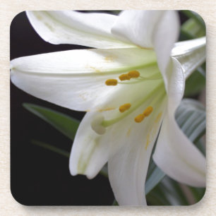 Porta-copo Flor lírio de Páscoa branca, bonito e pura, a pret