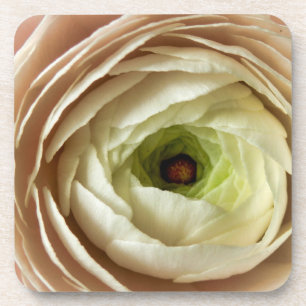 Porta-copo Flor Ranunculus
