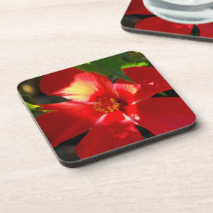 Porta-copo Flor Red Hibiscus à Luz do Sol