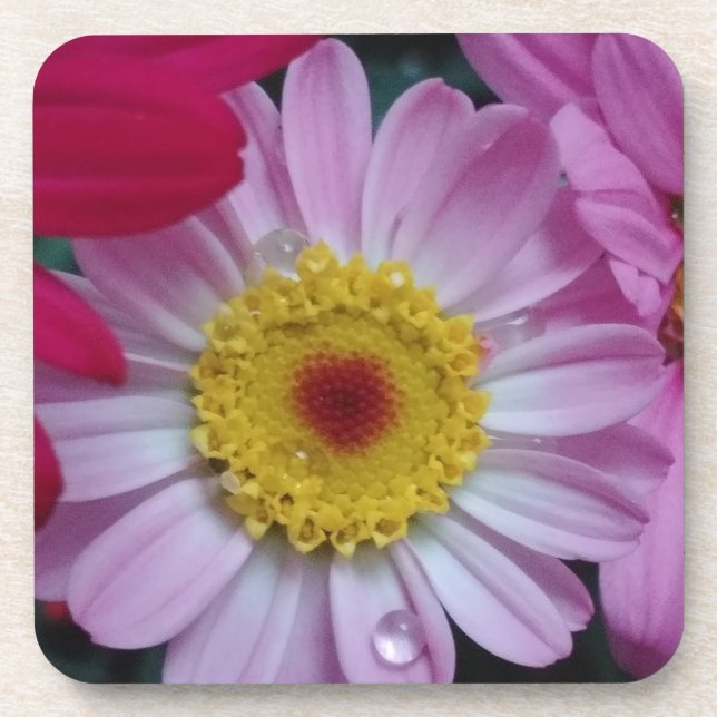 Porta-copo Flor rosa e amarela (Frente)