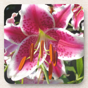 Porta-copo Flor rosa-rosa-rosa-rosa-rosa-rosa-rosa-rosa-rosa,