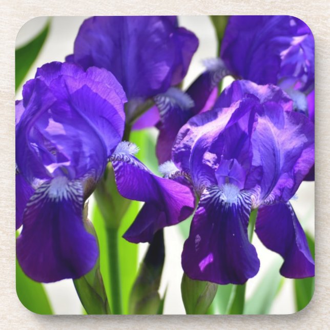 Porta-copo Flor Roxo Iris (Frente)