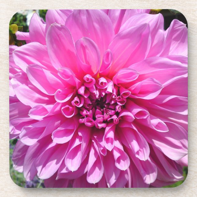 Porta-copo Flor Roxo Rosa Dahlia (Frente)