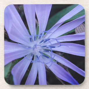 Porta-copo flor silvestre azul-porta copos