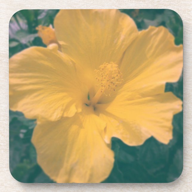 Porta-copo Flor tropical (Frente)