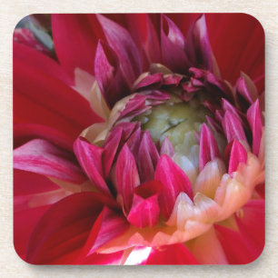 Porta-copo flor vermelha escura