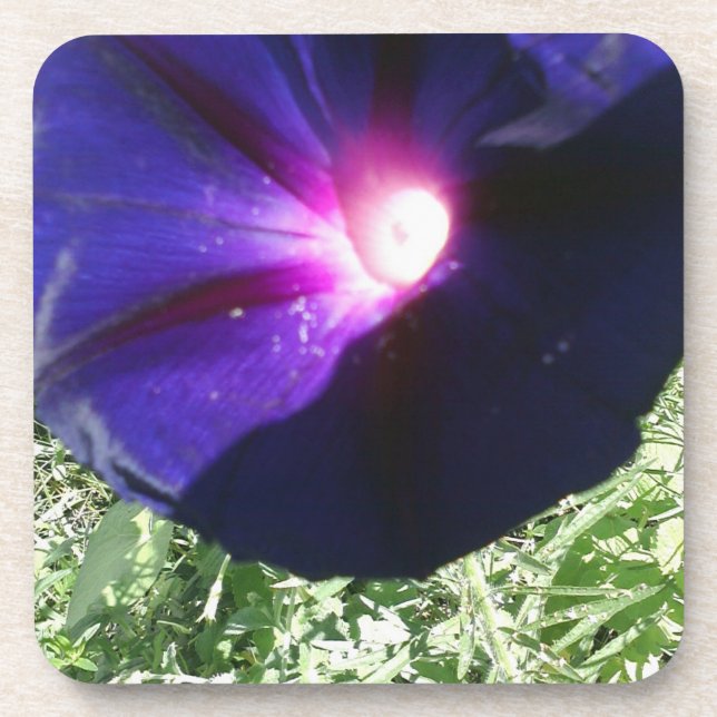 Porta-copo Floral bonito (Frente)