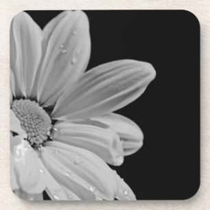 Porta-copo Floral calmo