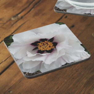 Porta-copo Floral de Peony de Árvore Branca