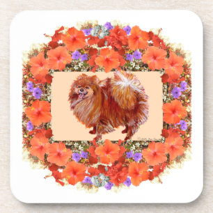 Porta-copo Floral Pomerânia
