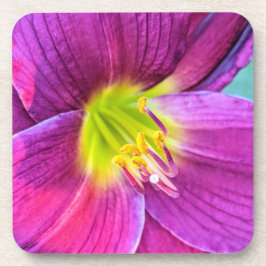 Porta-copo Floral Rosa Daylily