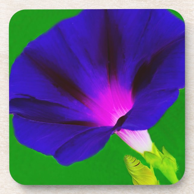 Porta-copo Floral Roxo-Rosa Ardente  (Frente)