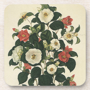 Porta-copo Floral Vintage, Flores de Rosas de Jardim Antigas