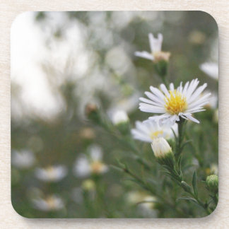 Porta-copo Flores