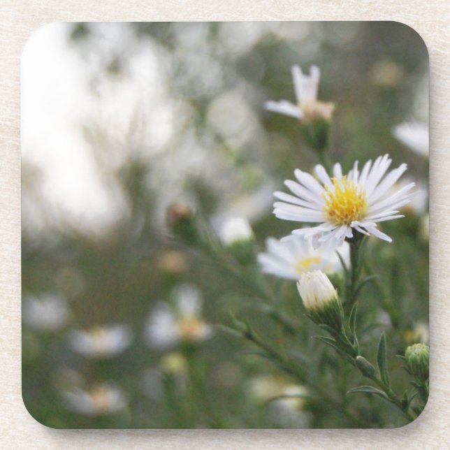 Porta-copo Flores (Frente)