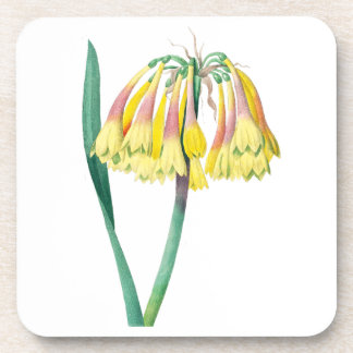 Porta-copo Flores: A003 Planta Antica -