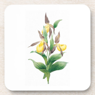 Porta-copo Flores: A011 Yellow Lady Slipper -