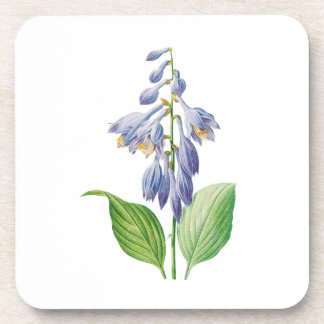 Porta-copo Flores: A012 Diariamente -