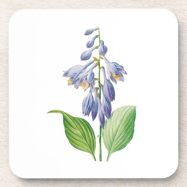 Porta-copo Flores: A012 Diariamente - (Frente)