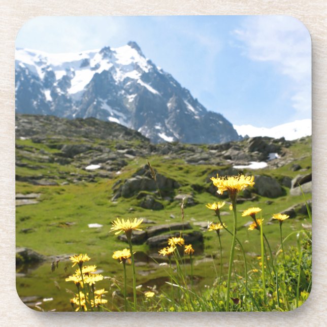 Porta-copo Flores alpinas - Bonita! (Frente)