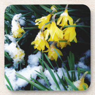 Porta-copo Flores amarelas Daffodils na neve
