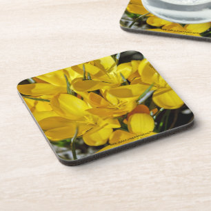 Porta-copo Flores Amarelas de Crócus