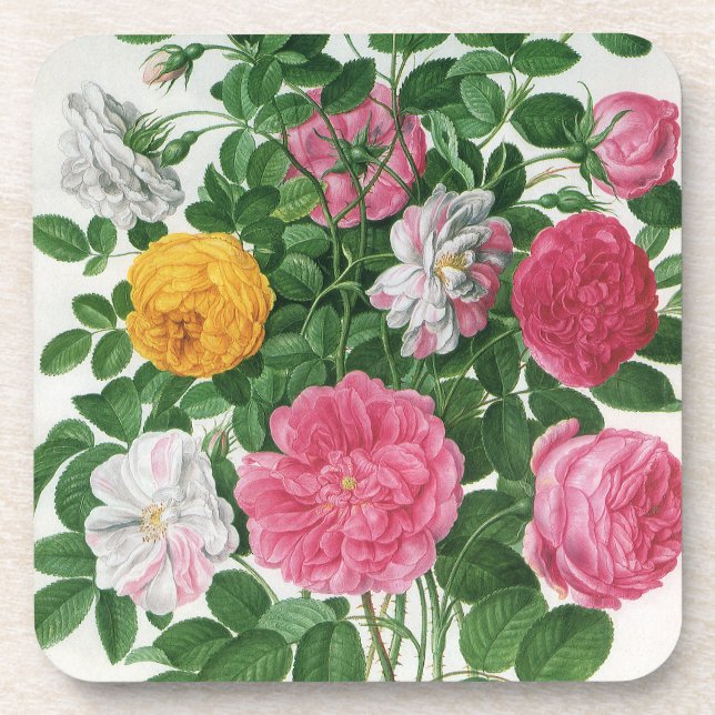 Porta-copo Flores Antigas em Flor, Rosas de Jardim da Primave (Frente)