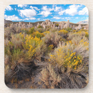 Porta-copo Flores Blooming Sagebrush California
