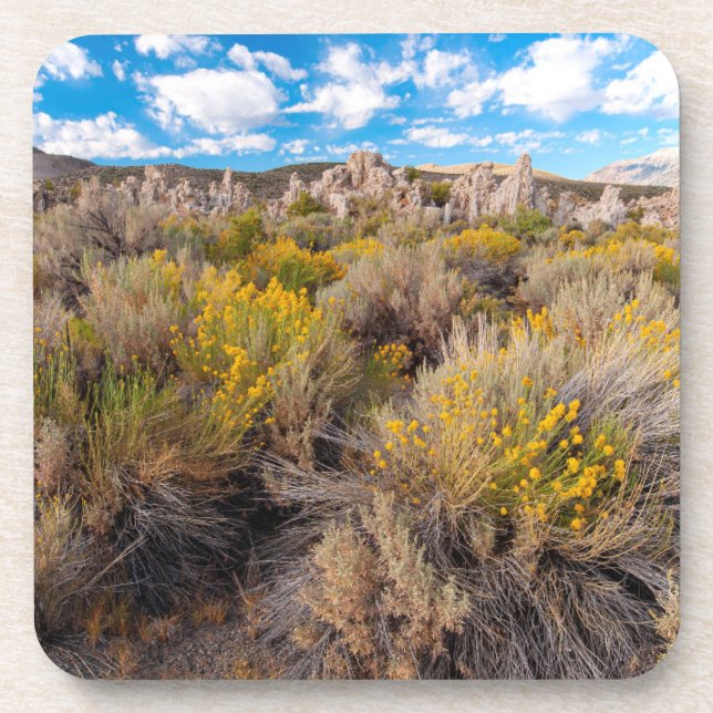 Porta-copo Flores | Blooming Sagebrush California (Frente)
