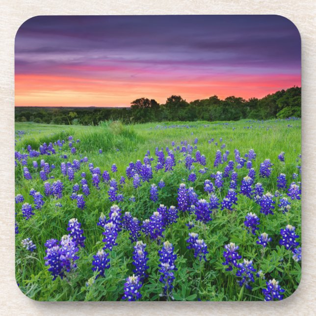 Porta-copo Flores | Bluetooth no Texas Sunset (Frente)