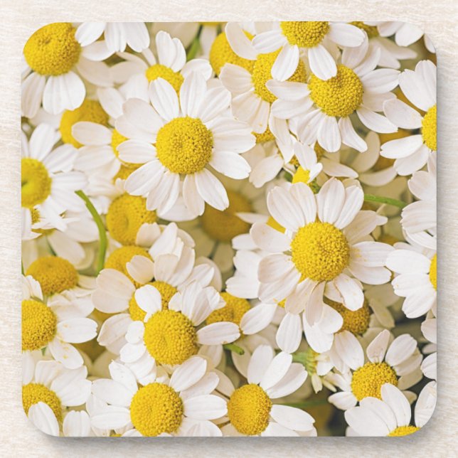 Porta-copo Flores | Bunch of Chamomiles (Frente)