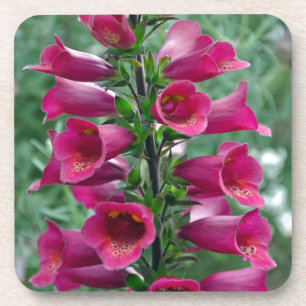 Porta-copo Flores cor-de-rosa